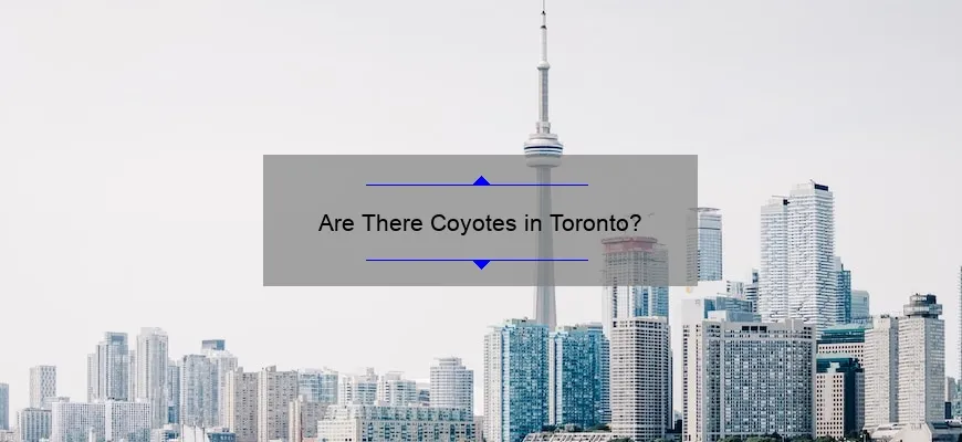 Are There Coyotes in Toronto?