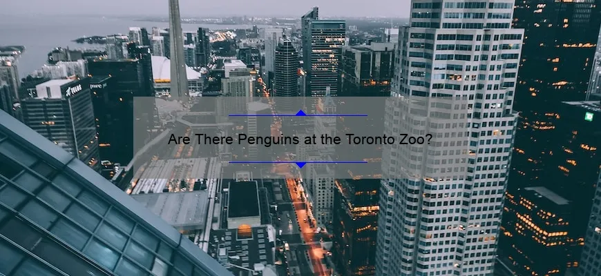 Are There Penguins at the Toronto Zoo?